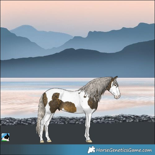 Horse Color:Silver Buckskin Splash Tobiano 