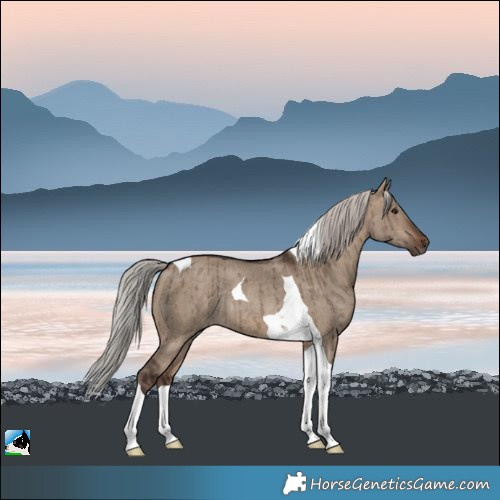 Horse Color:Silver Brown Dun Tobiano Rabicano Brindle