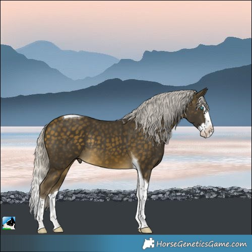 Horse Color:Silver Buckskin Splash Tobiano Rabicano 
