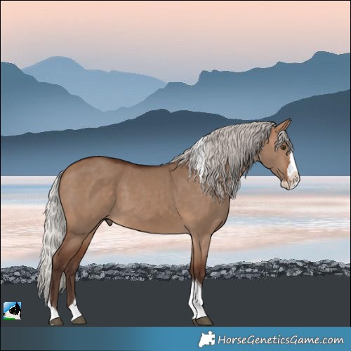 Horse Color:Silver Brown Dun Splash Tobiano 