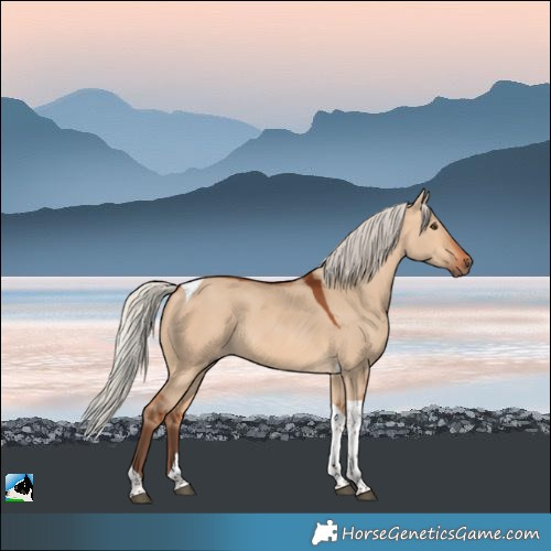 Horse Color:Silver Bay Dun Tobiano Rabicano