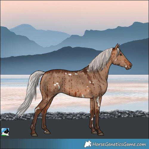 Horse Color:White Spotted Silver Bay Dun Brindle