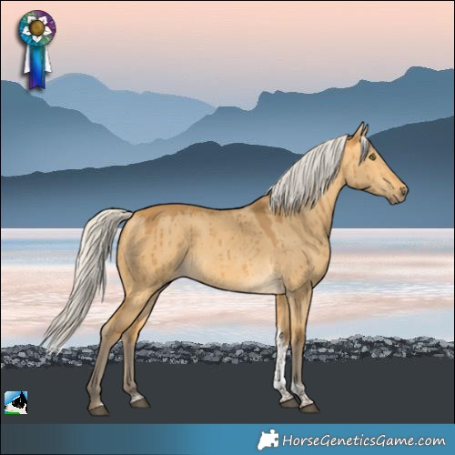 Horse Color:Silver Buckskin Dun Tobiano Rabicano Brindle 