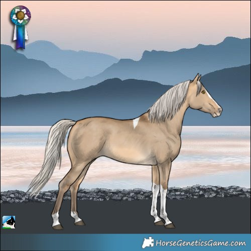 Horse Color:Silver Buckskin Dun Splash Tobiano 