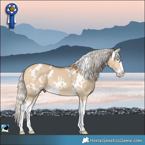 Horse Color:White Spotted Silver Buckskin Dun Splash Rabicano