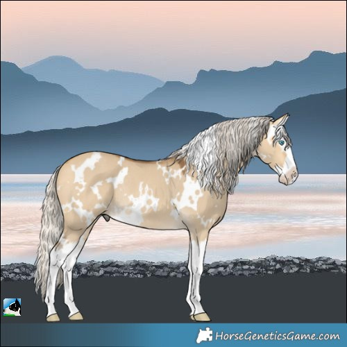 Horse Color:White Spotted Silver Buckskin Dun Splash Rabicano 