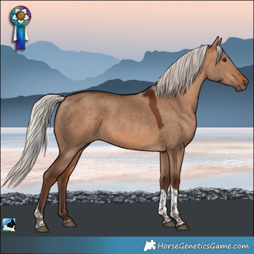 Horse Color:Silver Bay Dun Tobiano Rabicano 