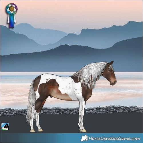 Horse Color:Silver Brown Tobiano 