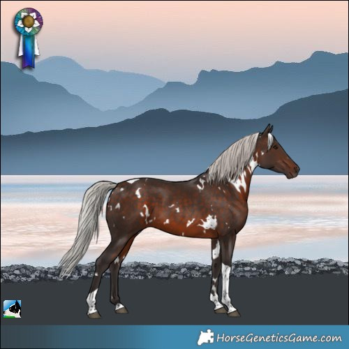 Horse Color:White Spotted Silver Bay Tobiano