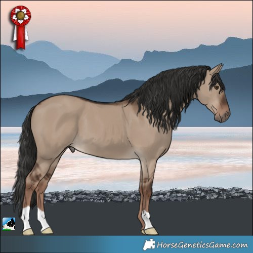 Horse Color:Liver Red Dun