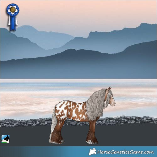 Horse Color:Gray Silver Amber Champagne Splash Near Leopard