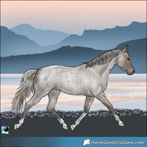 Horse Color:Silver Smoky Blue Roan Tobiano