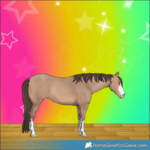 Horse Color:Amber Champagne