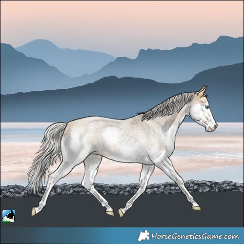 Horse Color:White Spotted Silver Buckskin Roan Splash 
