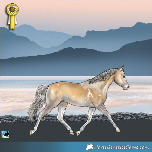 Horse Color:White Spotted Silver Buckskin Onyx Sabino