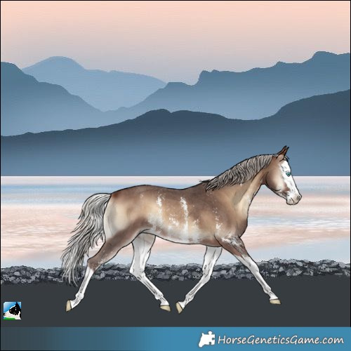 Horse Color:Silver Brown Onyx Sabino Splash 