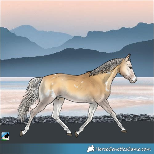 Horse Color:White Spotted Silver Buckskin Onyx Sabino 