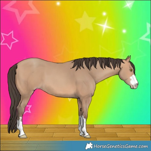 Horse Color:Amber Champagne 