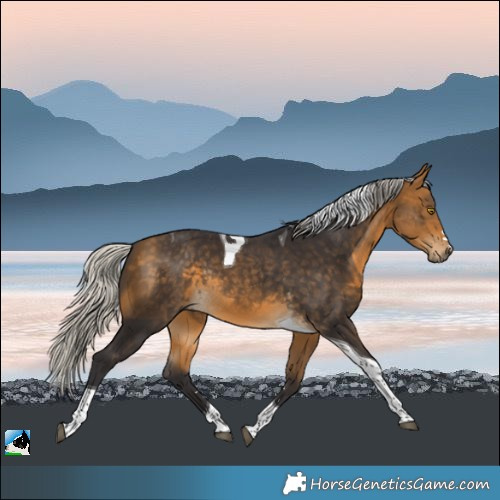 Horse Color:Silver Buckskin Tobiano Rabicano 