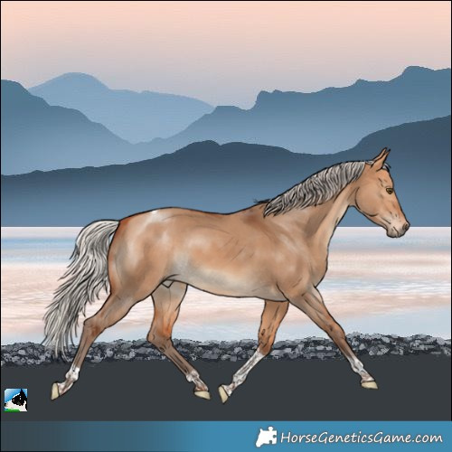 Horse Color:Silver Bay Dun Tobiano 
