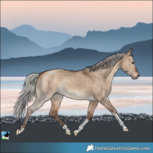 Horse Color:Silver Bay Dun Tobiano Rabicano 