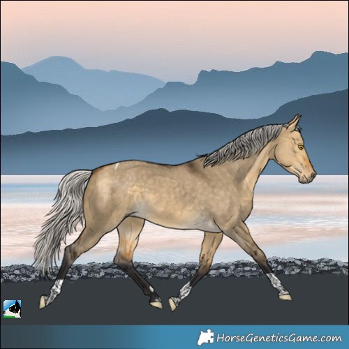 Horse Color:Silver Buckskin Dun Tobiano 