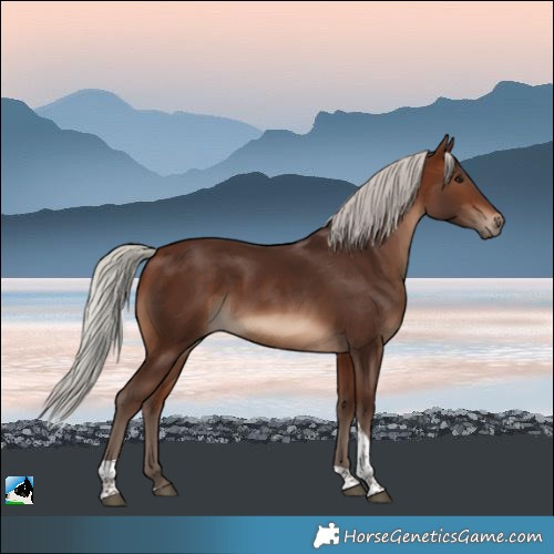 Horse Color:Silver Brown Tobiano