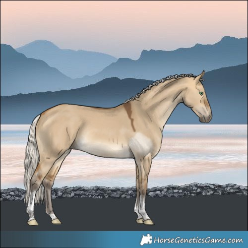 Horse Color:Silver Buckskin Dun Tobiano Rabicano 