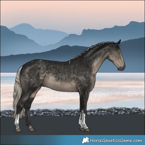 Horse Color:Gray Silver Smoky Black Tobiano Rabicano 