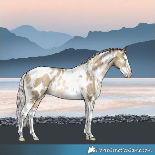 Horse Color:White Spotted Silver Smoky Black Pearl Splash Tobiano Blanket 