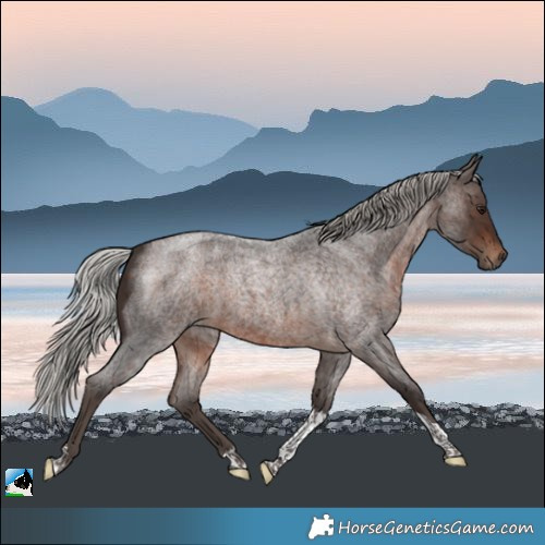 Horse Color:Silver Brown Roan Tobiano 
