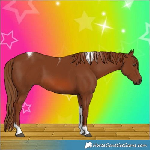 Horse Color:Chestnut Tobiano 