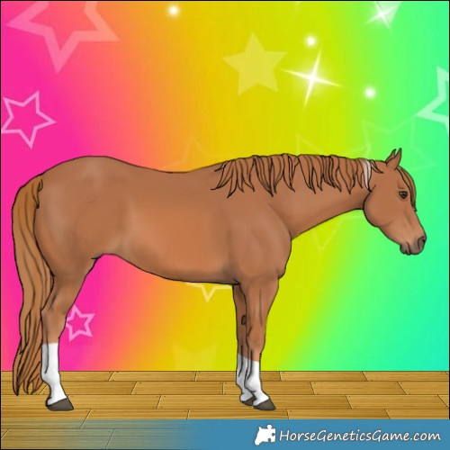 Horse Color:Chestnut Tobiano 