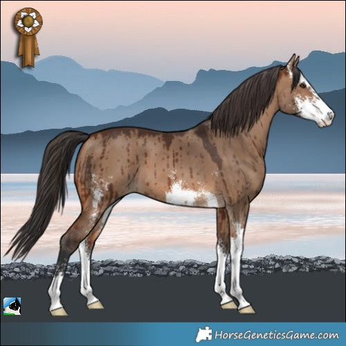 Horse Color:Brown Dun Sabino Brindle