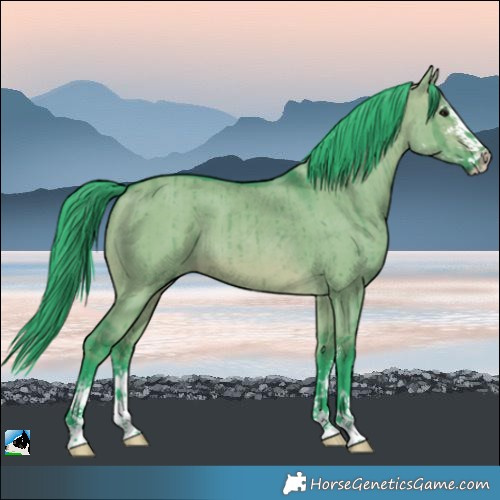 Horse Color:Watercolor Brown Dun Sabino Brindle 