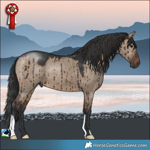 Horse Color:Brown Dun Brindle