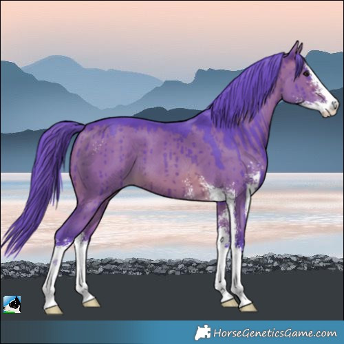 Horse Color:Watercolor Brown Dun Sabino Brindle