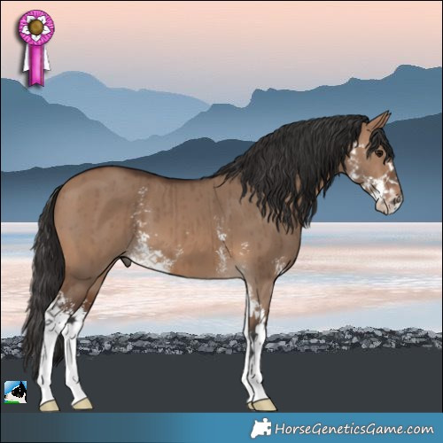 Horse Color:Brown Dun Sabino Brindle