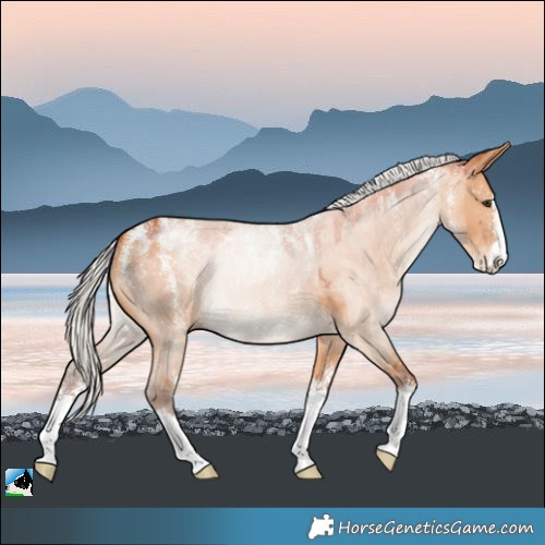 Horse Color:Powder White Silver Bay Dun 