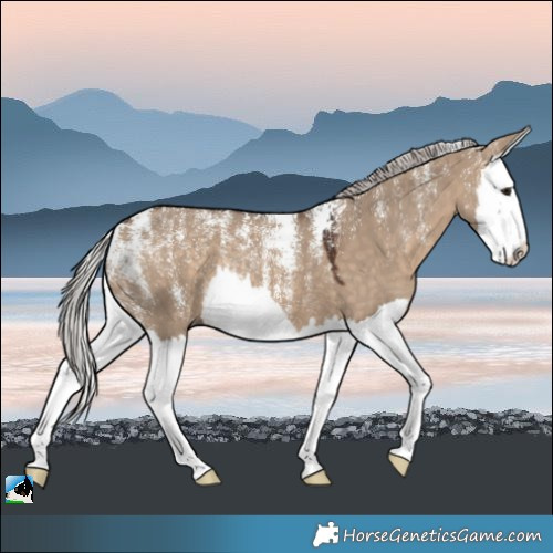 Horse Color:Powder White Silver Bay Dun Splash