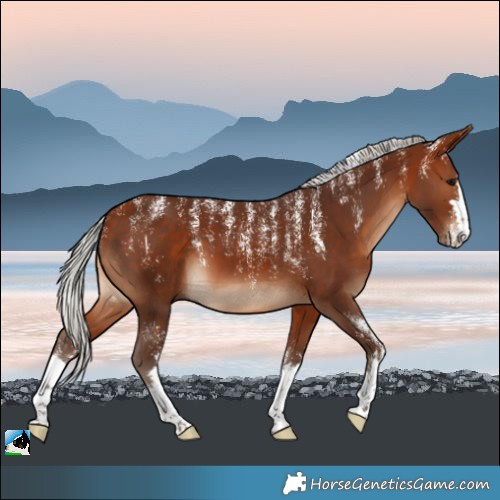 Horse Color:Powder White Silver Bay 