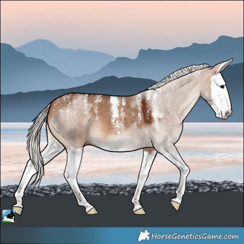 Horse Color:Powder White Silver Bay Dun Splash 