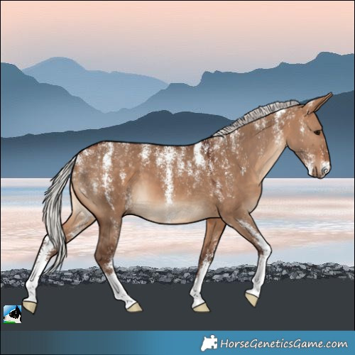 Horse Color:Powder White Silver Bay Dun