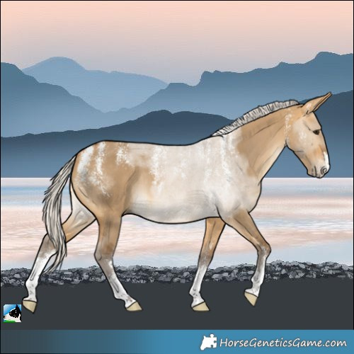 Horse Color:Powder White Silver Buckskin Dun Rabicano