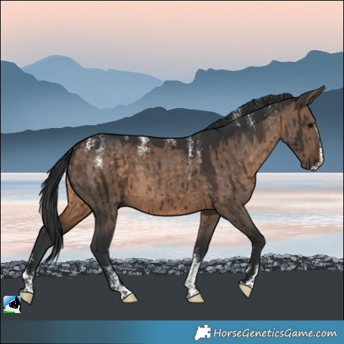 Horse Color:Powder White Brown Dun Splash Brindle 