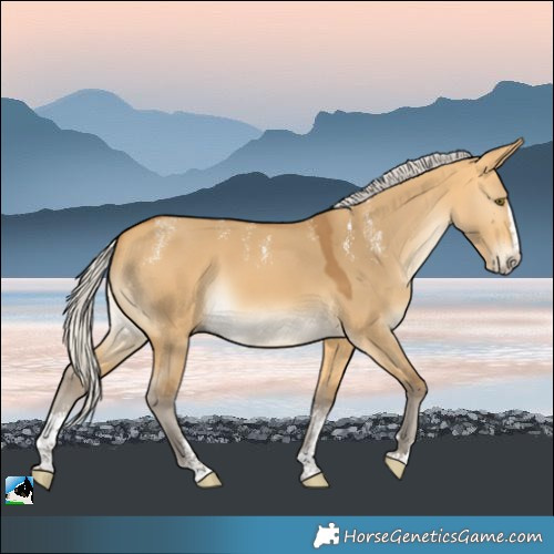Horse Color:Powder White Silver Buckskin Dun Splash Rabicano