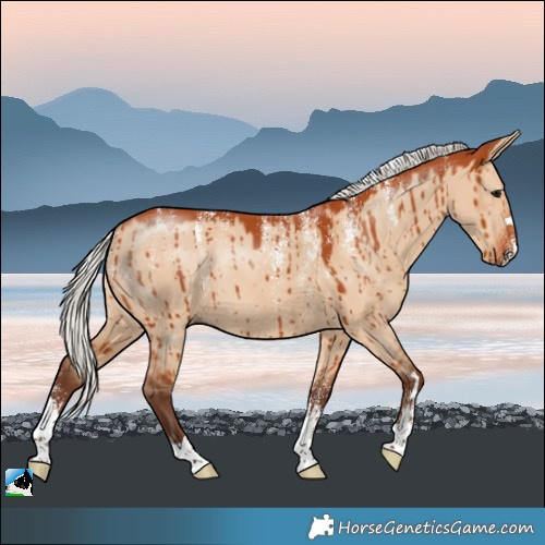 Horse Color:Powder White Silver Bay Dun Rabicano Brindle