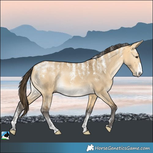 Horse Color:Powder White Buckskin Dun Rabicano 