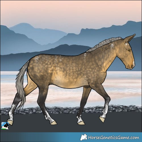 Horse Color:Powder White Silver Buckskin Dun Splash Rabicano
