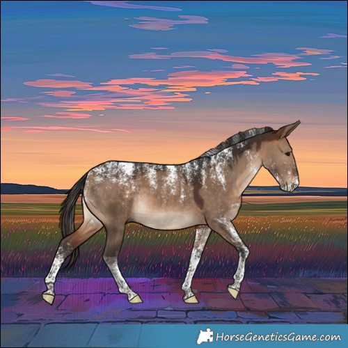 Horse Color:Powder White Brown Dun 